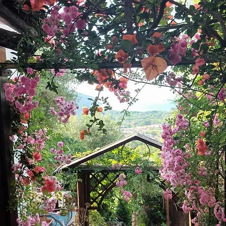 Sant'agata Bed and Breakfast *