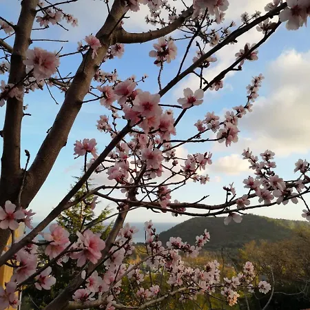 Bed & Breakfast Sant'agata *